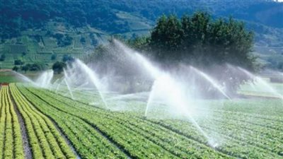 الإحصاء: محافظة الدقهلية من أكثر المحافظات في استخدام ميـاه الصرف الـزراعي المعاد