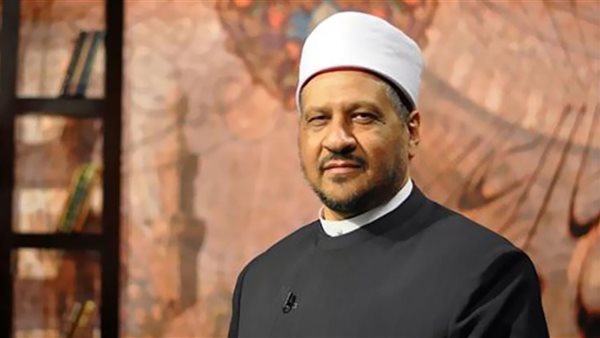 الدكتور مجدى عاشور