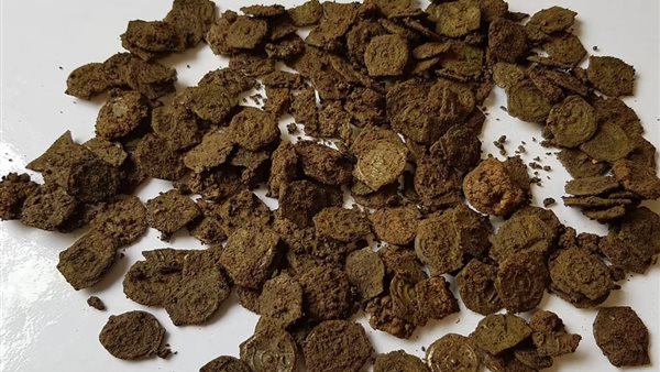 عملات أثرية - صورة