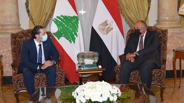 استقبال وزير الخارجية