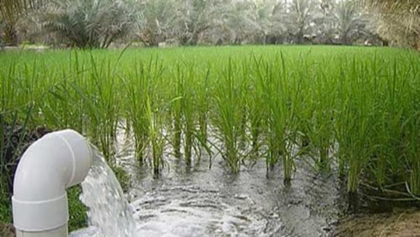 اعادة استخدام مياه