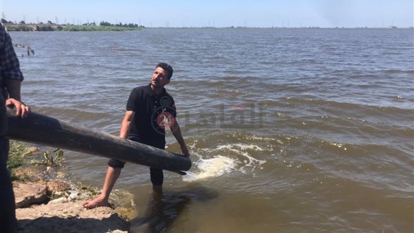 زريعة أسماك بلطي-