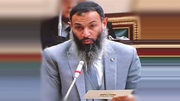 النائب أحمد حمدي