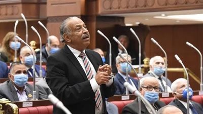 برلماني عن مبادرة 