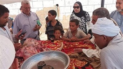 ضبط 276 كيلو لحوم غير صالحة للاستهلاك الآدمي بسوهاج (صور)