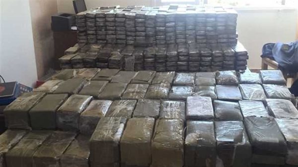 مخدر الحشيش 