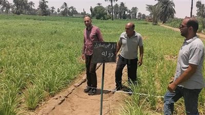 إزالة 3 حالات بناء مخالف واسترداد قطعتي أرض أملاك دولة بالمنيا