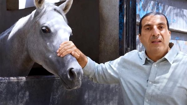 عمرو خالد والخيل