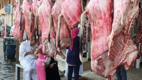 اسعاراللحوم