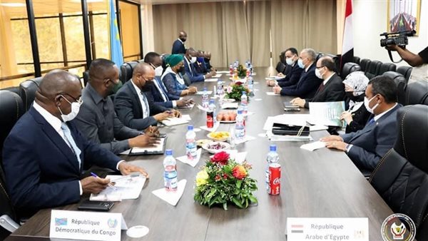 وزير الري في الكونغو