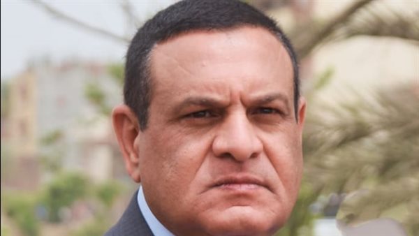 محافظ البحيرة