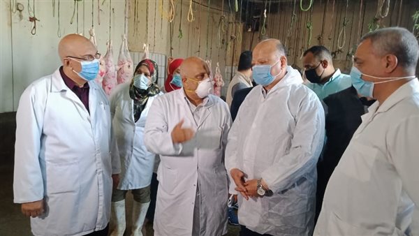 محافظ القاهرة يتفقد