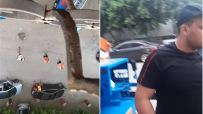 سيدة تتهم أشقاء برلماني بسحلها في الأميرية (فيديو)