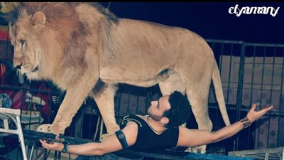 فقرات عالمية في افتتاح سيرك 