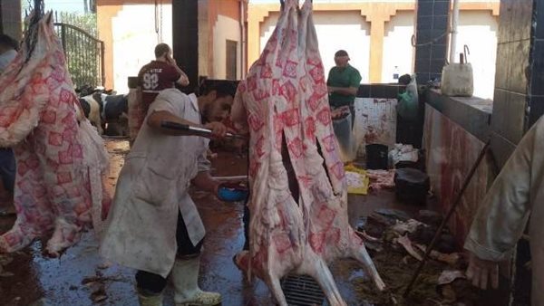 استعدادات المجازر