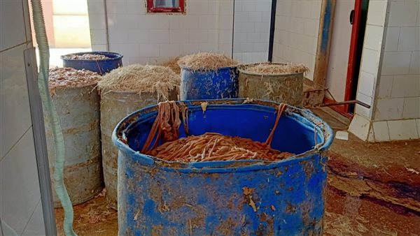 مجزر دواجن مخالف