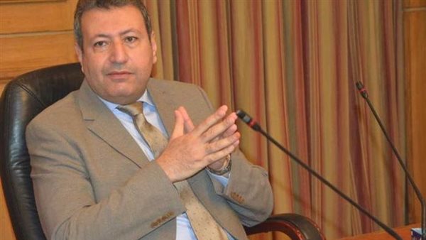 النائب طارق شكري