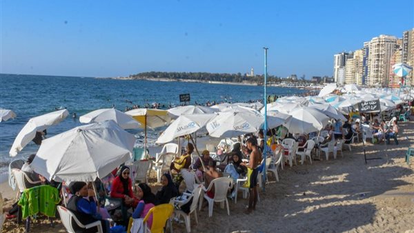 شواطئ الإسكندرية