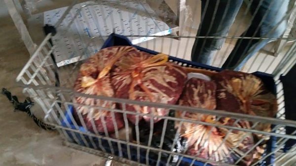 ضبط لحوم فاسدة