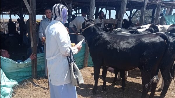 تحصين المواشي ضد