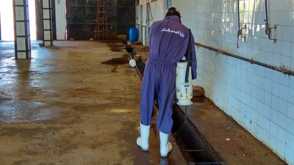 تطهير مجازر المنيا