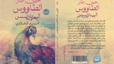 كريم البشلاوي: 