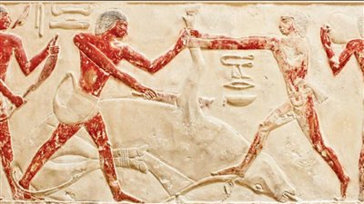 مذبح هليوبوليس الرباعي.. الأضاحي في مصر القديمة (صور)