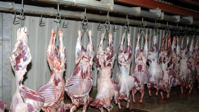 تعرف على أسعار اللحوم البلدي بالأسواق في أول أيام عيد الأضحى