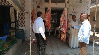 قبل طرحها في العيد.. ضبط 196 كيلو لحوم فاسدة ومذبوحة خارج المجازر بالغربية