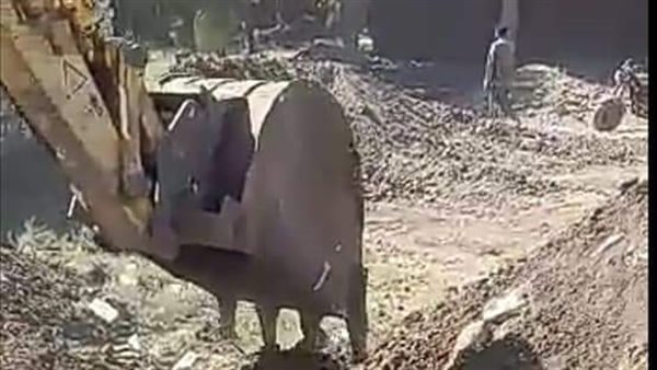 إزالة تعديات في الفيوم