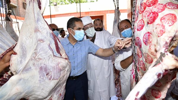 محافظ الغربية يتفقد