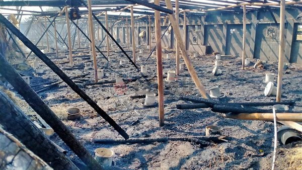 حريق المزرعة 