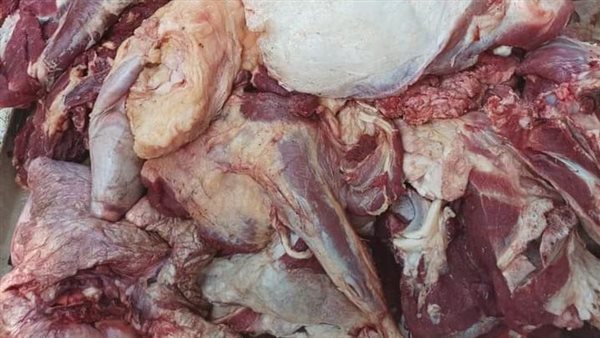 جانب من اللحوم الفاسدة