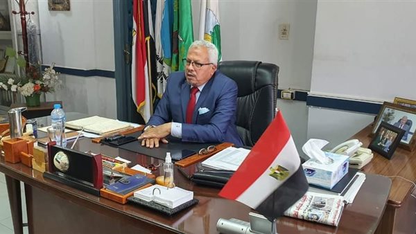 المهندس محمد نجيب