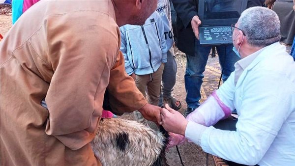 المشروع القومي لتحسين