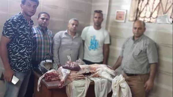 حملات تموينية على