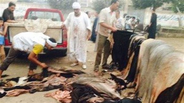 جلود الأضاحي 