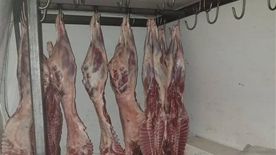 قبل العيد بساعات.. ضبط 21 طن لحوم غير صالحة للاستهلاك الآدمي