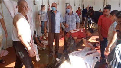 مدير المجازر بالقليوبية يتفقد أعمال ذبح الأضاحي في بنها (صور) 