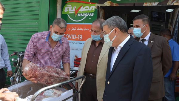 محافظ المنيا يتفقد