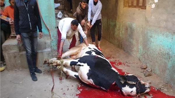 الذبح بالشوارع -