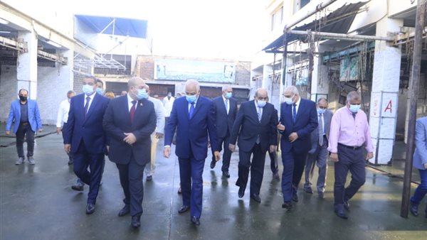 محافظ الجيزة يتفقد