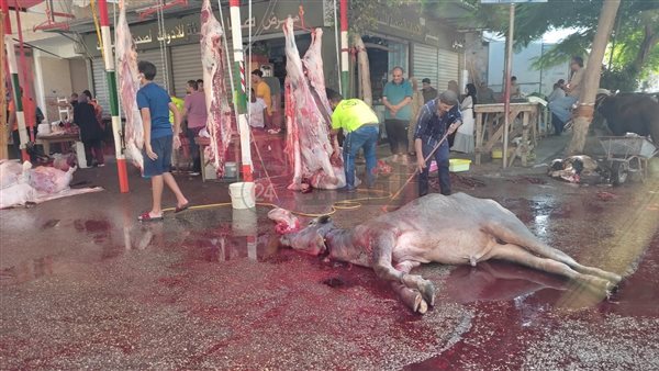 الذبح في شوارع بورسعيد