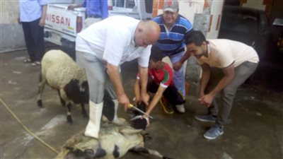 رئيس حي المطرية يخالف التعليمات ويذبح الأضحية في الشارع