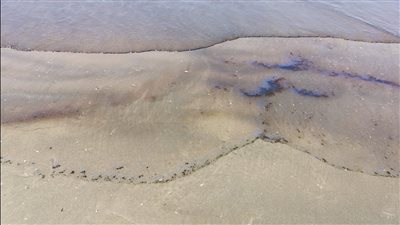 وزيرة البيئة: لجنه عاجلة للسيطرة على التلوث الزيتي بشواطئ بورسعيد (صور)