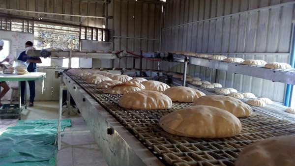 انتظام العمل بالمخابز