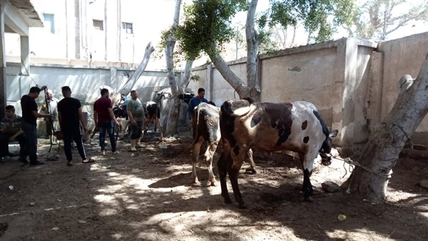 مجازر كفر الشيخ