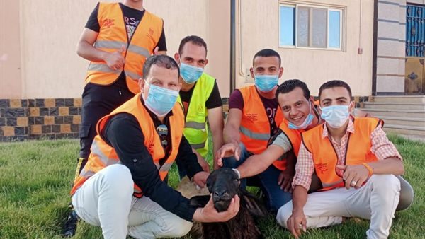 صندوق مكافحة وعلاج