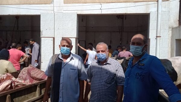 مجازر القليوبية 