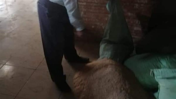 ضبط الدقيق برمال